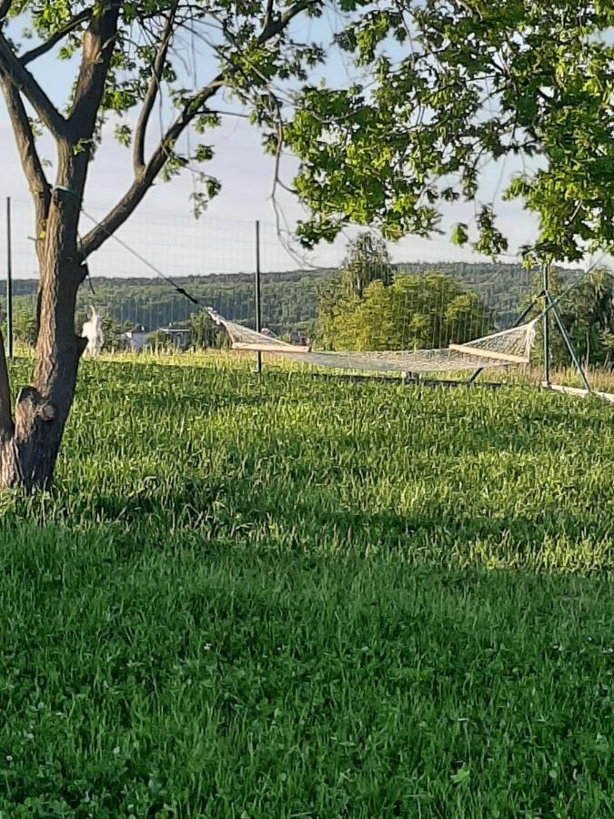 Gosp. Agroturystyczne Stary Gaj Villa Zerkowice ภายนอก รูปภาพ