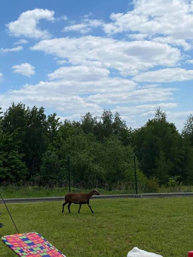 Gosp. Agroturystyczne Stary Gaj Villa Zerkowice ภายนอก รูปภาพ