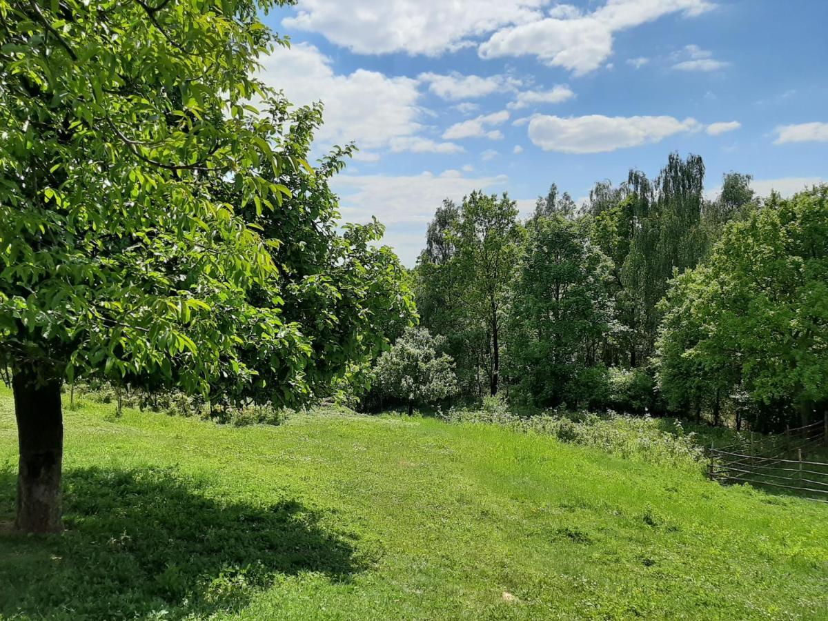 Gosp. Agroturystyczne Stary Gaj Villa Zerkowice ภายนอก รูปภาพ