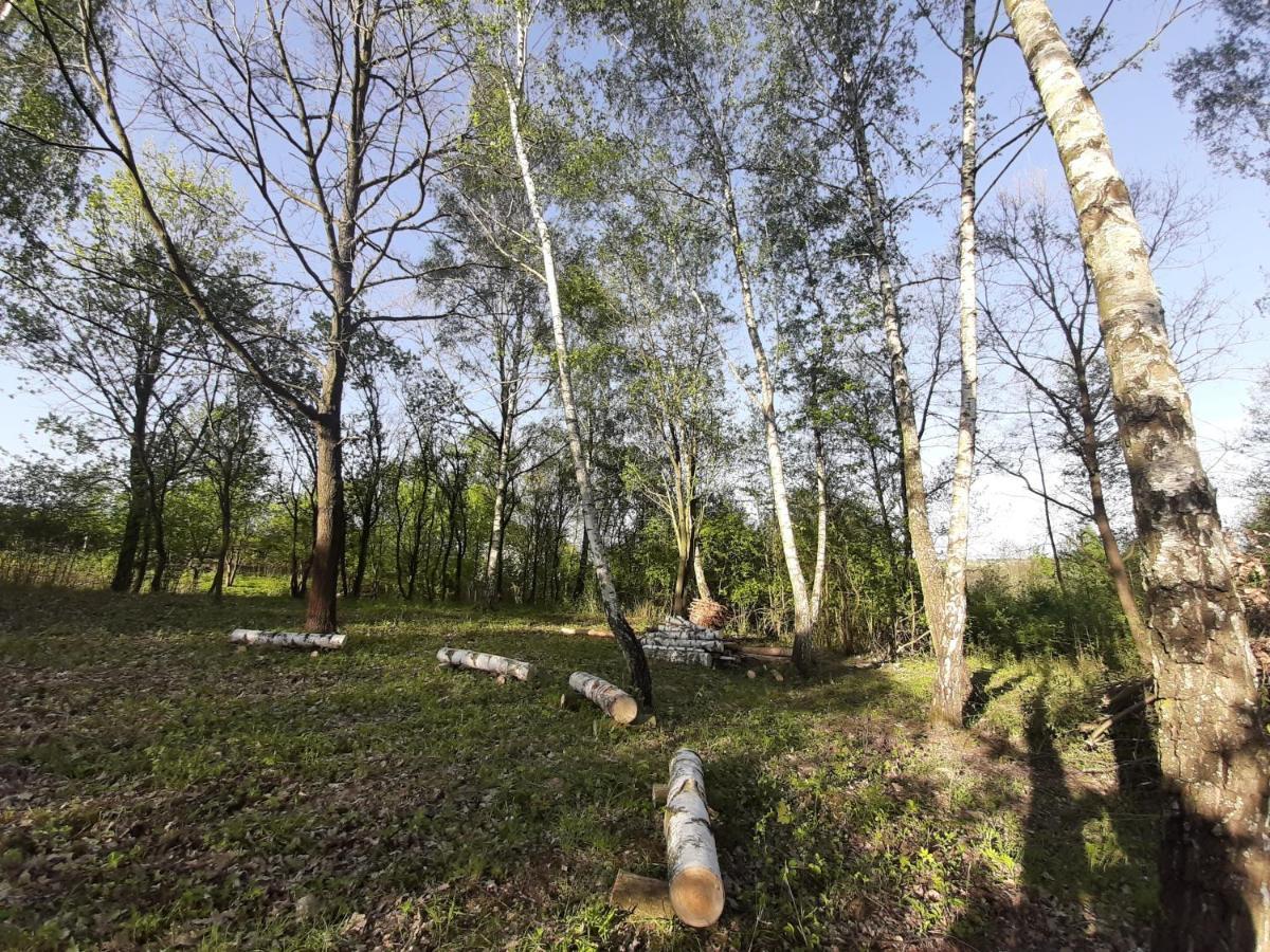 Gosp. Agroturystyczne Stary Gaj Villa Zerkowice ภายนอก รูปภาพ
