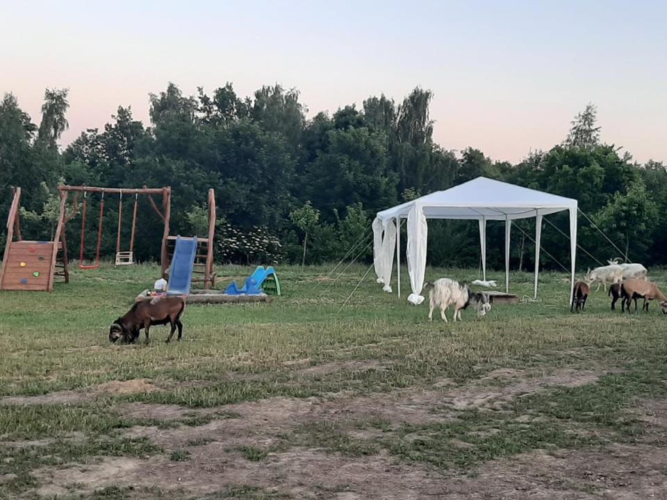 Gosp. Agroturystyczne Stary Gaj Villa Zerkowice ภายนอก รูปภาพ