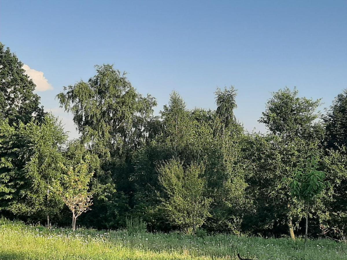 Gosp. Agroturystyczne Stary Gaj Villa Zerkowice ภายนอก รูปภาพ
